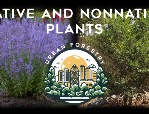 5. Native and Nonnative Plants