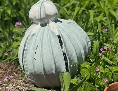 APRIL 2026 Yard of the Month