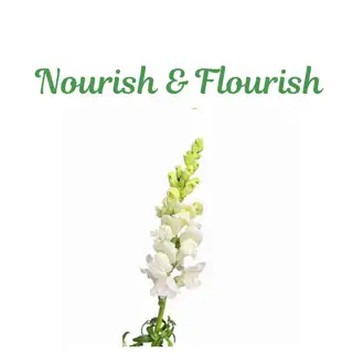 Nourish and Flourish logo